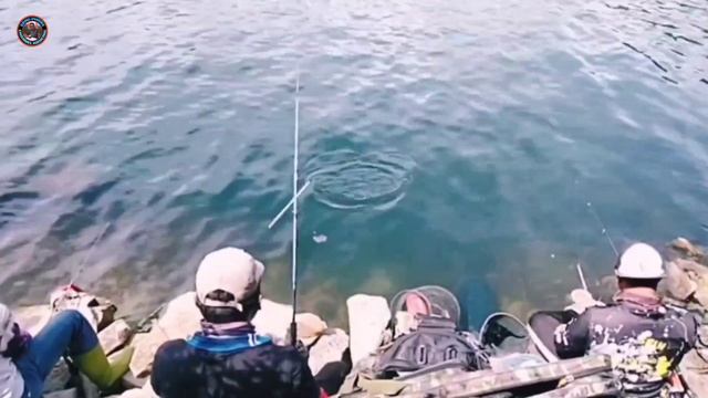 Goyang Plampung Anti Ombak Danau Toba смотреть онлайн