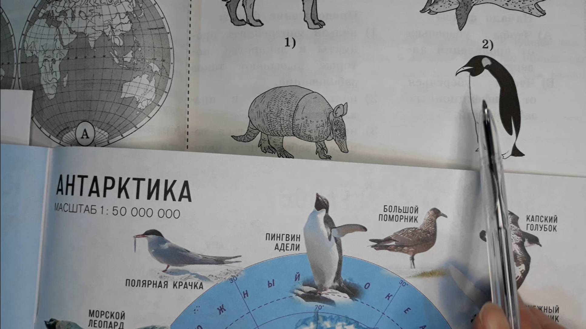 ВПР Окружающий мир 4 класс 2025 год, вариант 6 из 25 смотреть онлайн