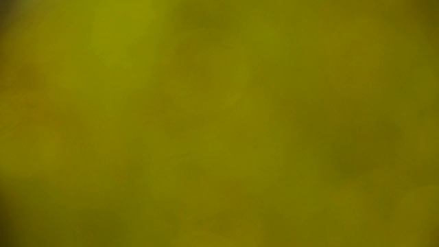 Dasychira - Umbreon (ft. Malibu) смотреть онлайн
