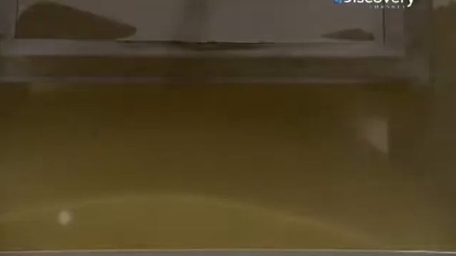 Макароны. смотреть онлайн
