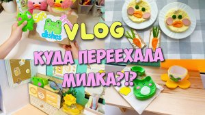 Обустраиваем новую комнату для уточки Милки! Новая посуда в стиле лягушат.