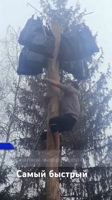 Самый быстрый способ залезть на столб смотреть онлайн