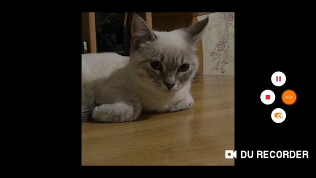 10# Мой новый бит смотреть онлайн