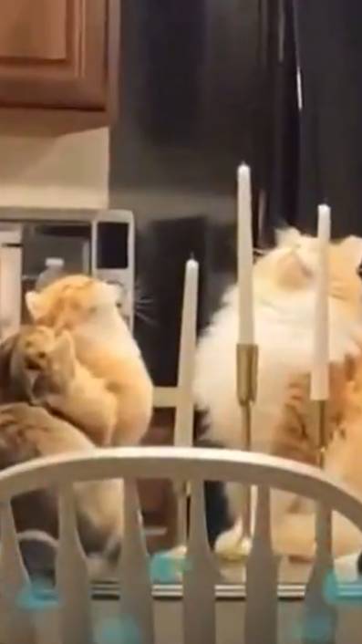 когото вызывают