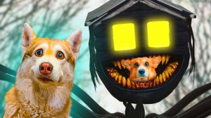 КАК ЗАМОЧИТЬ ДОМОГОЛОВОГО И СПАСТИ КОРЖИКА Хаски Бублик Говорящая собака