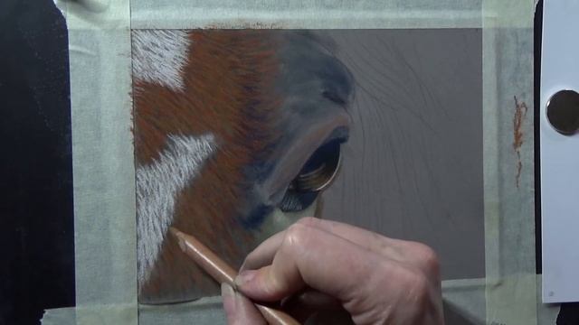 Horse Eye in Soft Pastel Part 3 of 4 смотреть онлайн
