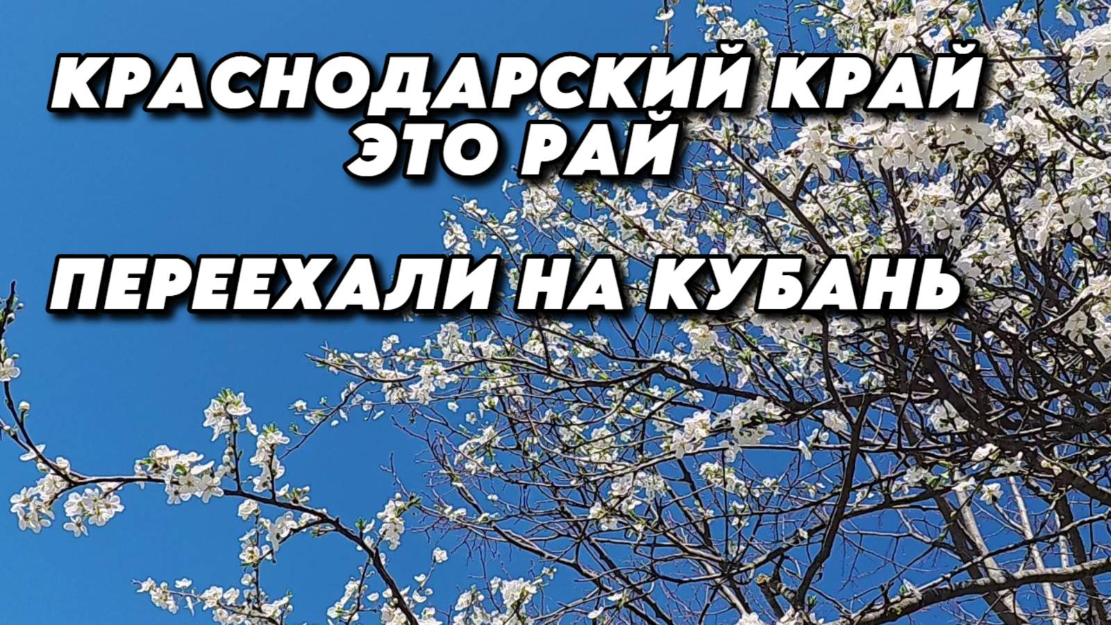 858 Живём и наслаждаемся жизнью/Кто хочет переехать, этот канал для вас смотреть онлайн