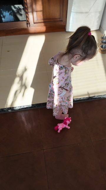 РАДУЖНЫЙ ПОНИ