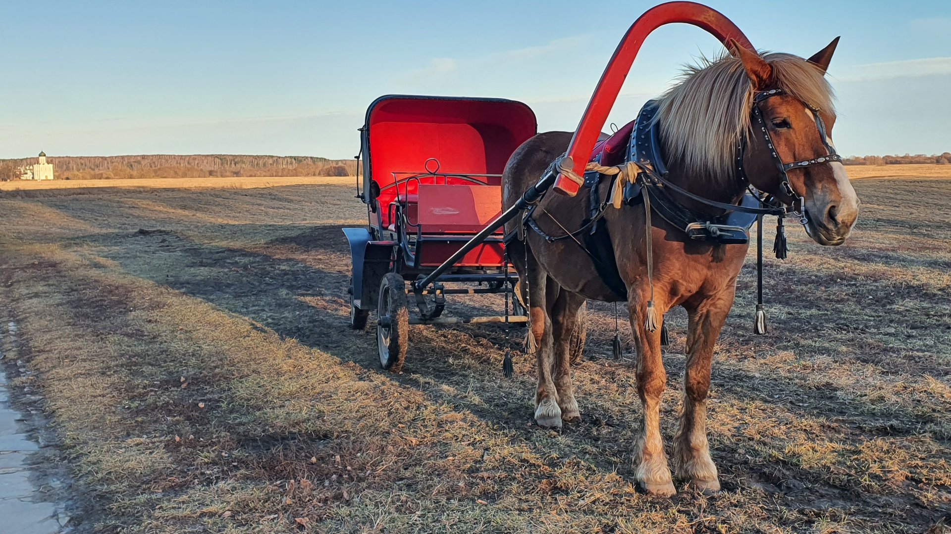 До Церкови Покрова на Нерли можно доехать. Правда по выходным и в хорошую погоду. Мне повезло! смотреть онлайн