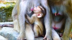 Либби и Лили   1000042411.mp4