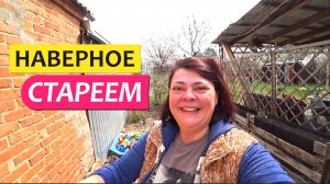 Грабли Лайф Влоги с Юга Привыкаю к новой обстановке / Грабли LIVE Влоги с Юга / Жизнь в станице