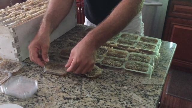 Сотовый мёд в индивидуальной упаковке