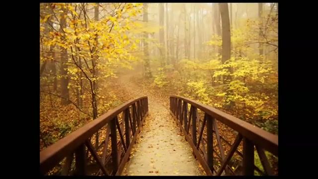 Золотая коллекция. Саксофон и оркестр. Музыка Сергея Чекалина