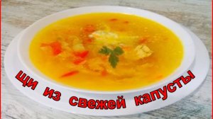 Щи из свежей капусты с курицей  Простой и вкусный рецепт
