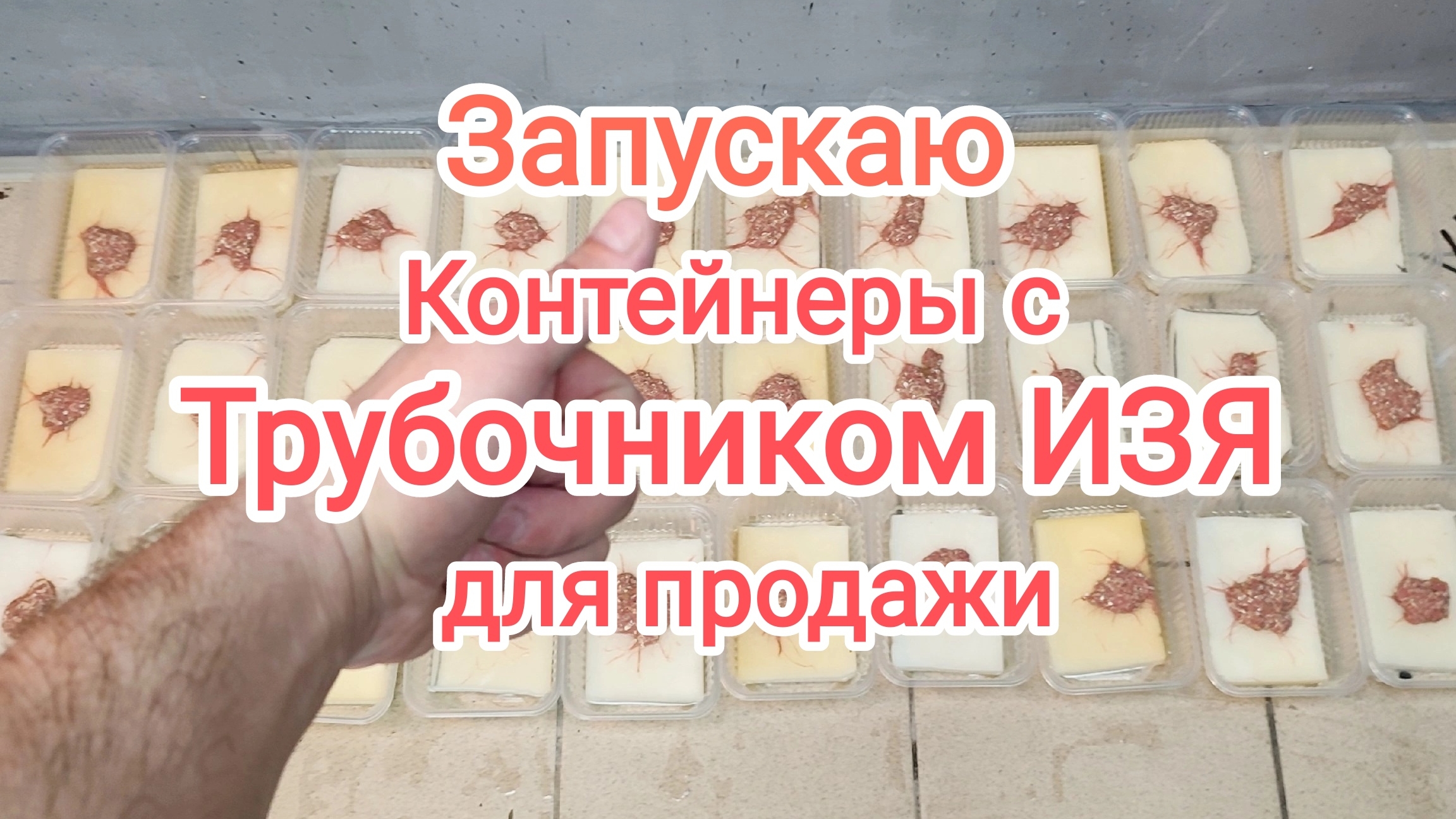 Трубочник ИЗЯ запустил 30 литровых контейнеров на продажу! смотреть онлайн