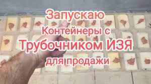 Трубочник ИЗЯ запустил 30 литровых контейнеров на продажу!