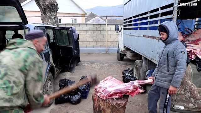 Ярмарка сельхозпродукции в Казбековском районе смотреть онлайн