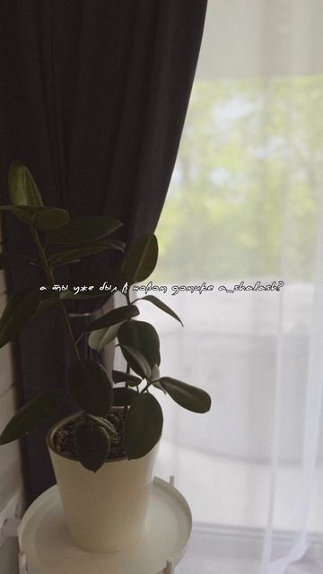 А-Шалаш в Самаре смотреть онлайн