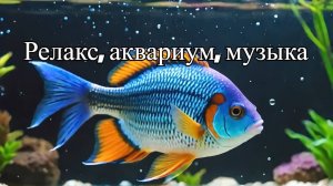 Аквариумный Релакс: 2 часа Спокойствия с Музыкой и Завораживающими Рыбками.🎶🐠 Aquarium Relax