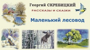 «Маленький лесовод» Георгий Скребицкий. Слушать