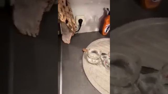 вред воды смотреть онлайн