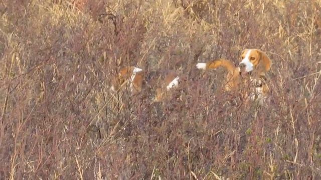 Тюня и Соня))))))))) смотреть онлайн