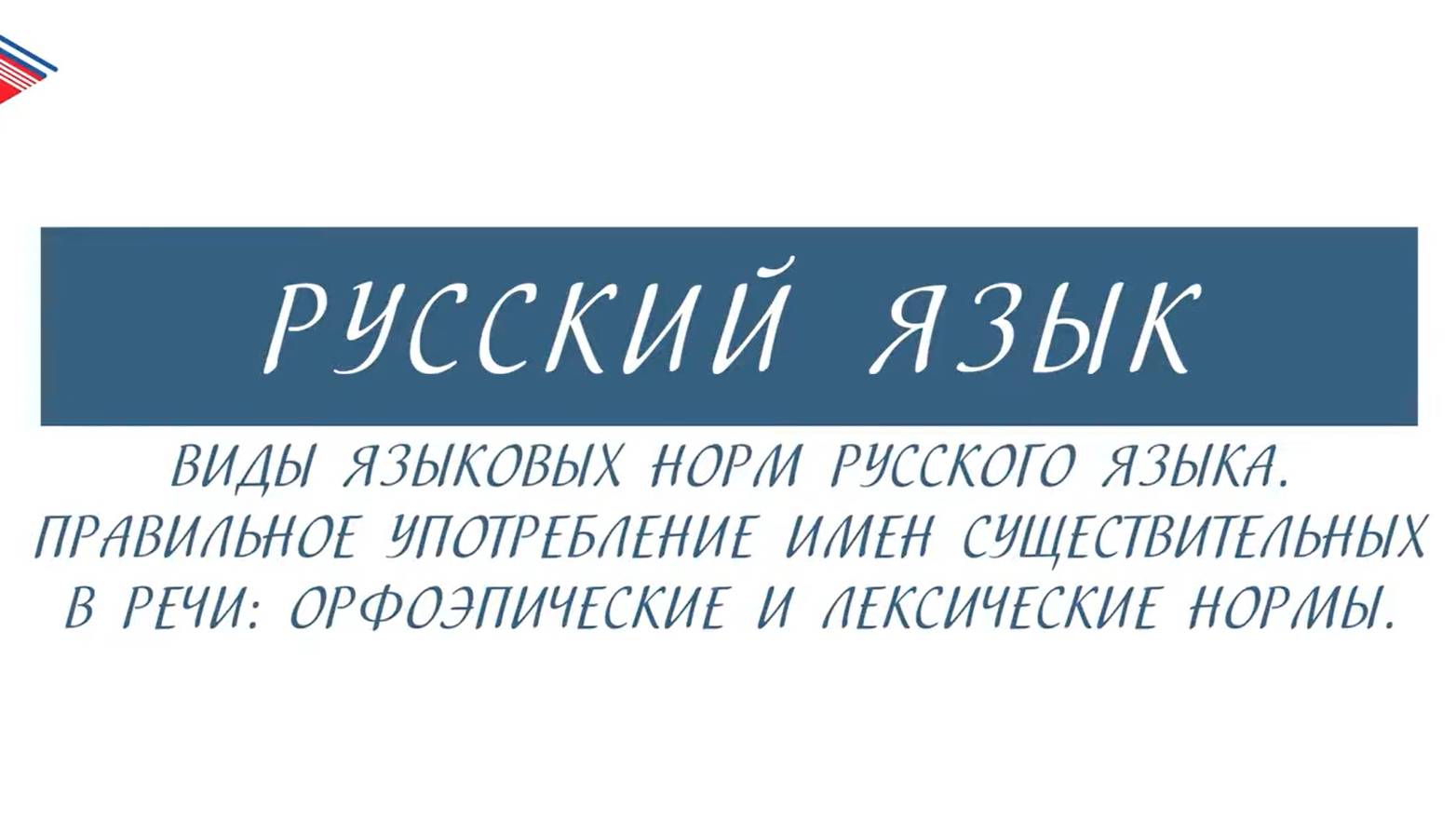 6 класс - Русский язык - Виды языковых норм русского языка. Правильное употребление существительных смотреть онлайн