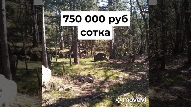 Недвижимость и строительство в Крыму смотреть онлайн