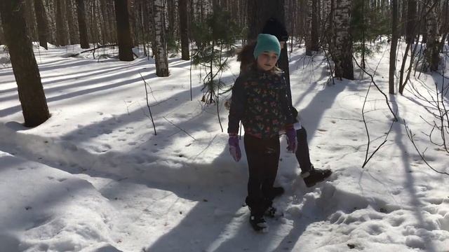 Поиски приза в лесу смотреть онлайн