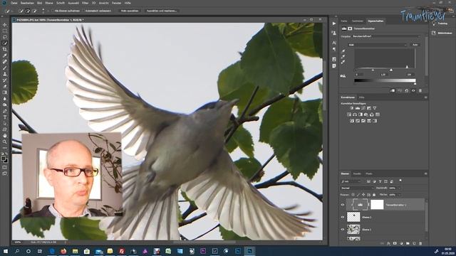 Aufhellen mit Photoshop: auswählen, Effekteebenen, maskieren смотреть онлайн