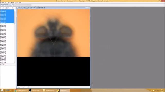Focus Stacking de substack uygulaması смотреть онлайн