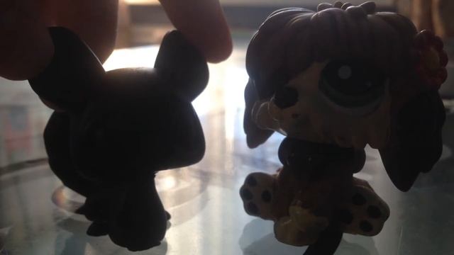 Ооак шиншиллы неудолся( смотреть онлайн