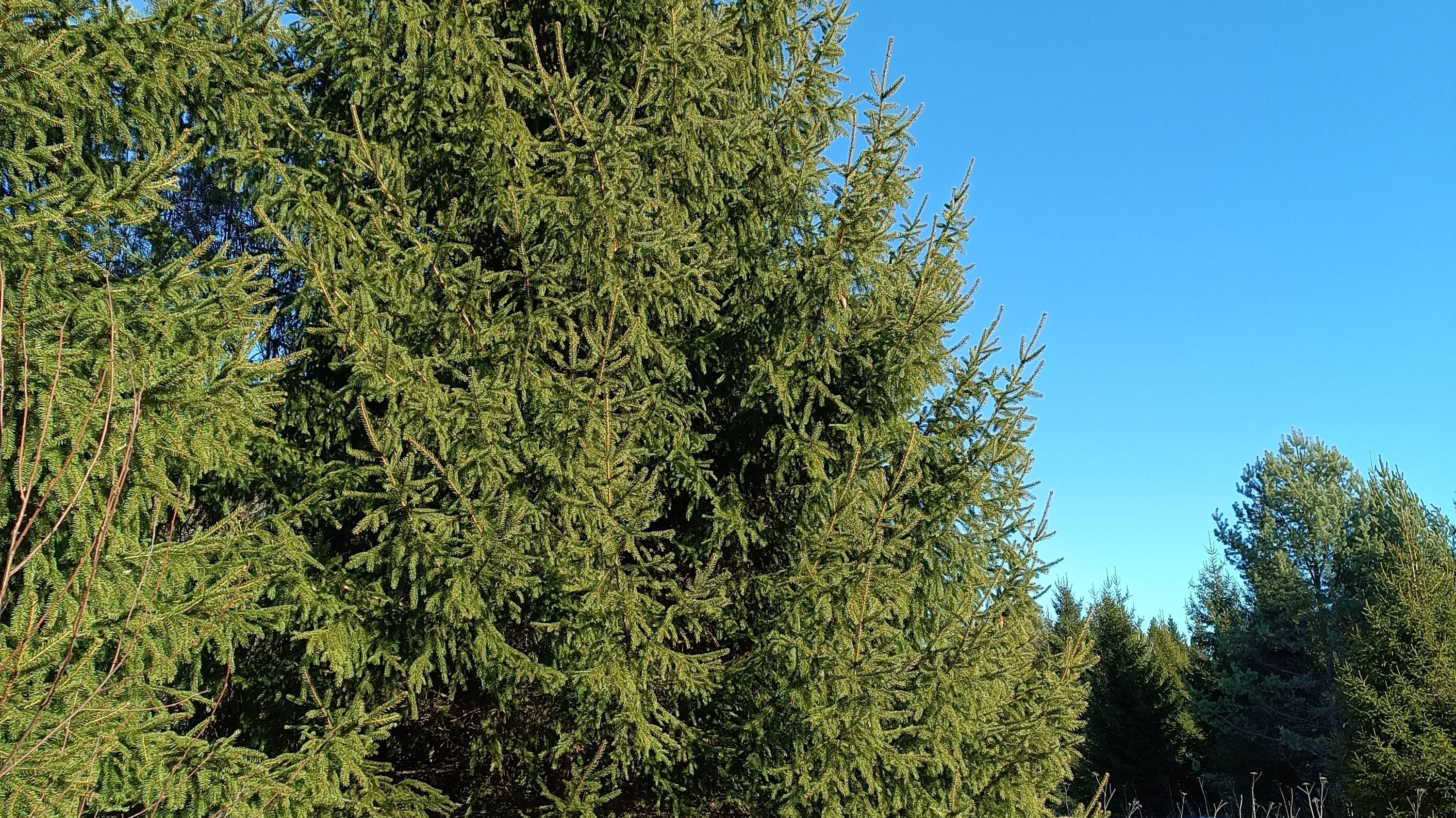 Первый выход на природу 23.03.2025