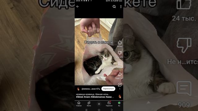 Мне Звонит Лиззи (КАК ЭТО???)(Другой Был Обои Звоночнего телефона)#рутубнебань(ОПИСАНИЯ) смотреть онлайн