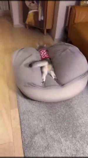 Я после работы