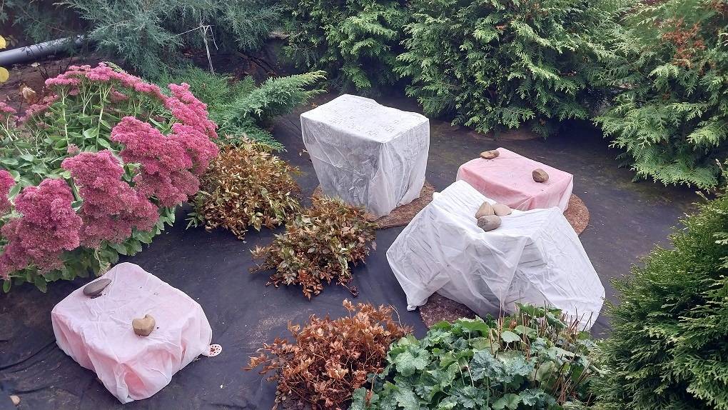 Подготовка Сада к Зиме.