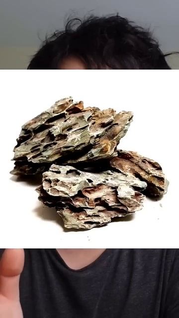 Which Fish Tank is WORSE? смотреть онлайн