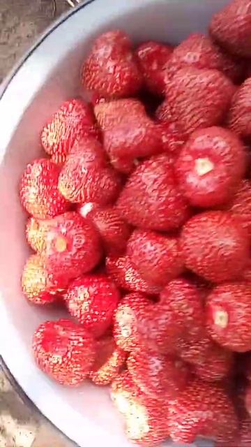 Клубника 🍓 Класс. смотреть онлайн