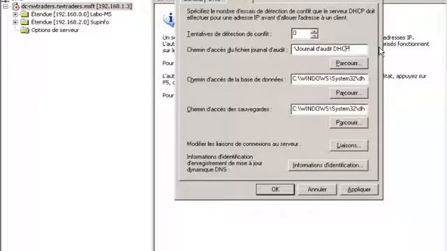 cours video windows 2003 Audit DHCP 0003 смотреть онлайн