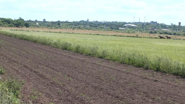 Три дистанции. СКАЧКИ КАМЕНЬ-РЫБОЛОВ.