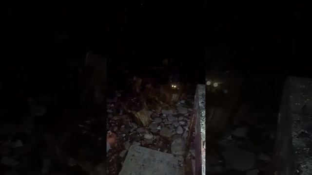 Наглые еноты смотреть онлайн