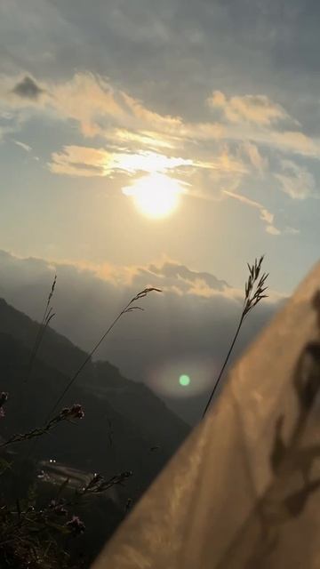 Видео Дениса во время обучения