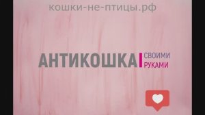 Антикошка своими руками (кошки-не-птицы.рф)