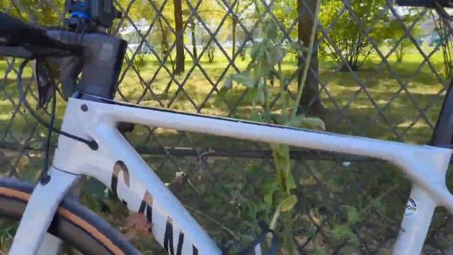 PRESENTATION SET UP 1.5 STREAM IRL VELO et SELLE FIZIK ARGO ADAPTATIVE смотреть онлайн