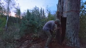 Укрытие от дождя , с печью, внутри дерева.