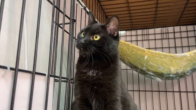 Ждан смотреть онлайн