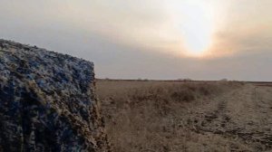 Весенняя охота 2025