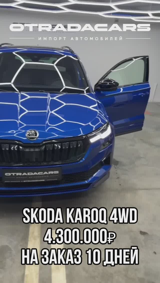 Skoda Karoq 2025 смотреть онлайн