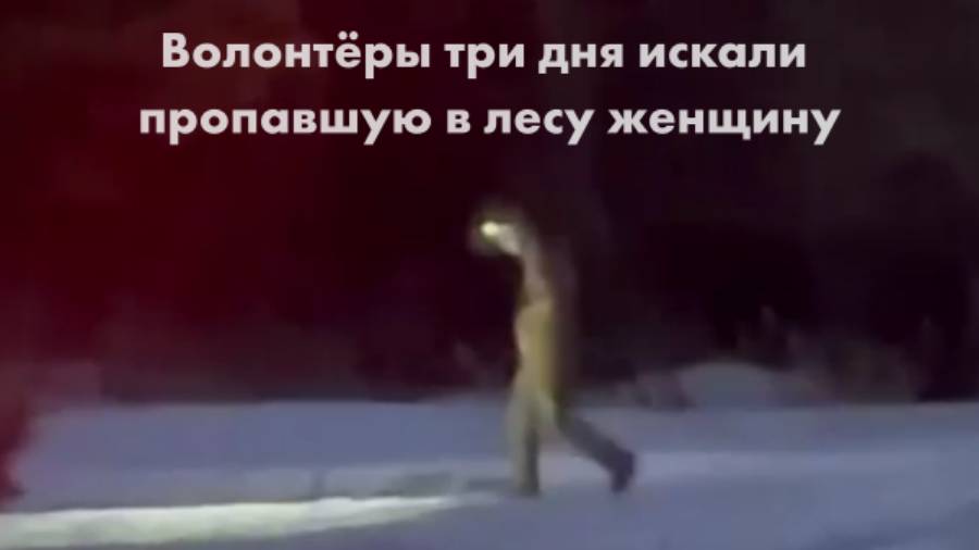 Волонтёры три дня искали пропавшую в лесу женщину смотреть онлайн