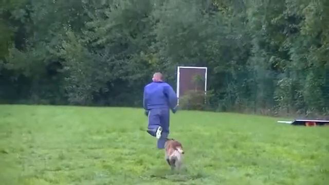 Vyatkins' X'Royce - mondio escape bite смотреть онлайн